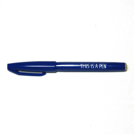 this is a pen  THIS IS A PEN – Quarter Square Lifestyle Boutique