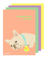 Copper the Frenchie Postcards